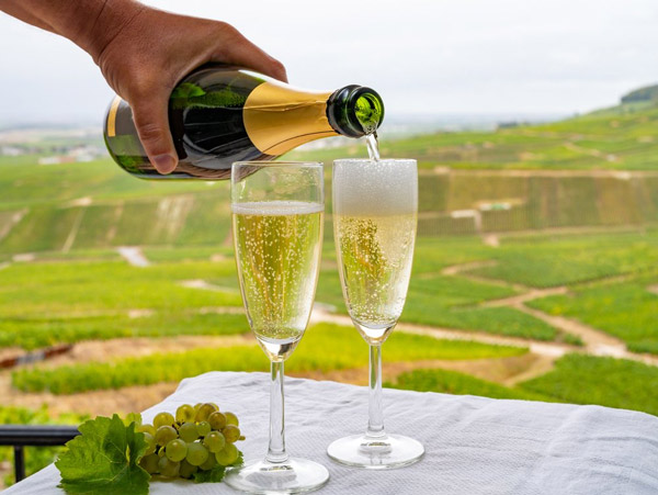Tìm hiểu về rượu vang Pháp: Lịch sử và các vùng làm vang Champagne với loại rượu vang sủi bọt hàng đầu thế giới