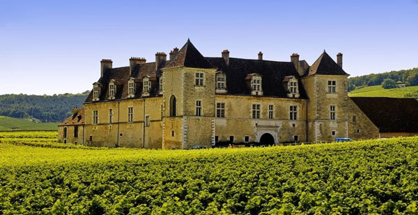 Tìm hiểu về rượu vang Pháp: Lịch sử và các vùng làm vang Một Chateau ở Bordeaux