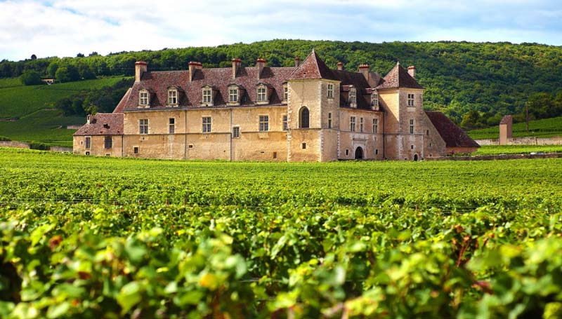 Những Chateau truyền thống nằm giữa các vườn nho tại Pháp