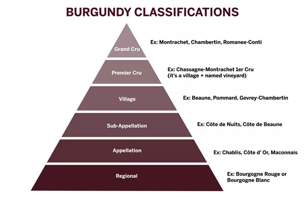 Hướng dẫn cách đọc nhãn chai rượu vang Pháp Tháp phân hạng rượu vang Burgundy