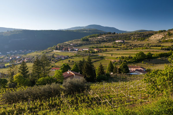 Bolgheri và Amarone della Valpolicella được xác nhận là những loại rượu vang quý giá nhất ở Ý Valpolicella là nơi có nhiều loại rượu vang giá trị nhất Veneto