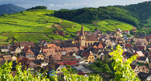 Tìm hiểu về rượu vang Pháp: Lịch sử và các vùng làm vang Vùng Alsace với nhiều ánh nắng mặt trời