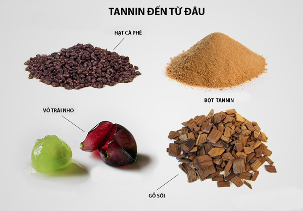 Tannin là gì? Ảnh hưởng của tannin trong rượu vang Nguồn gốc của tannin