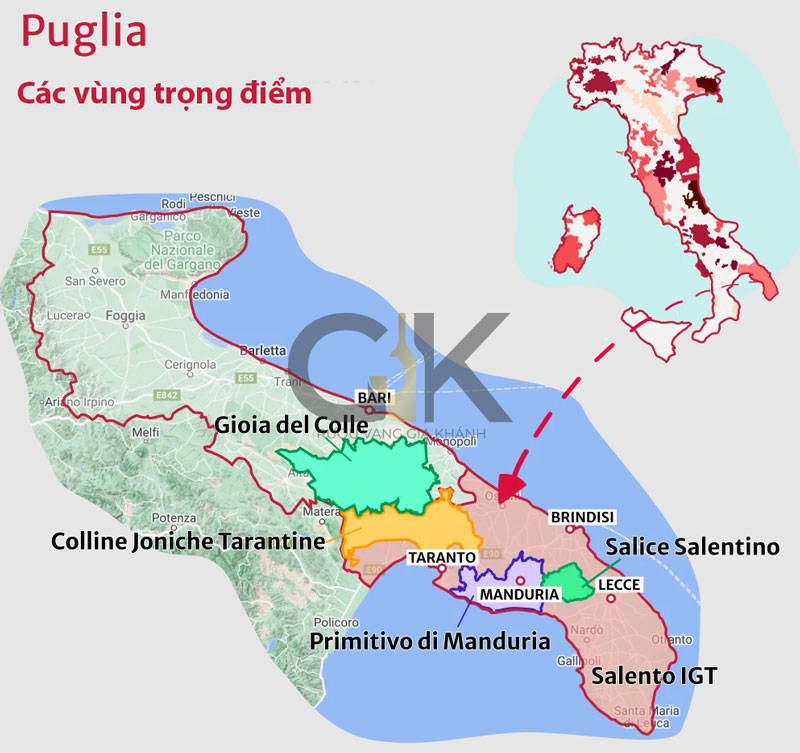 Tìm hiểu về giống nho Primitivo - Zinfandel Các vùng trọng điểm tại Puglia