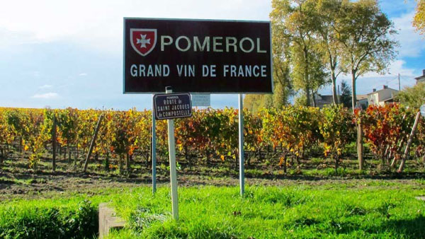 Mọi điều bạn cần biết về giống nho Merlot Giống nho Merlot được trồng tại Pomerol mang tới nhiều hương vị tuyệt vời