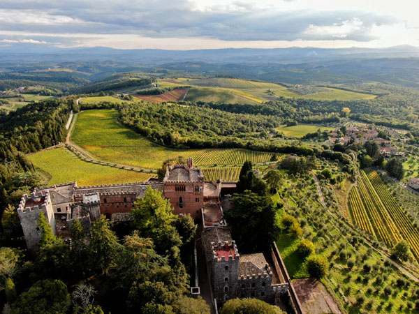 Mọi điều bạn cần biết về giống nho Merlot Giống nho Merlot tại Tuscany thường thấy trong hỗn hợp của Super Tuscan