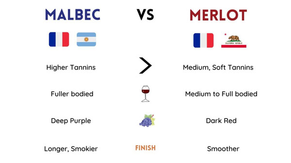 Mọi điều bạn cần biết về giống nho Merlot So sánh Merlot và Malbec