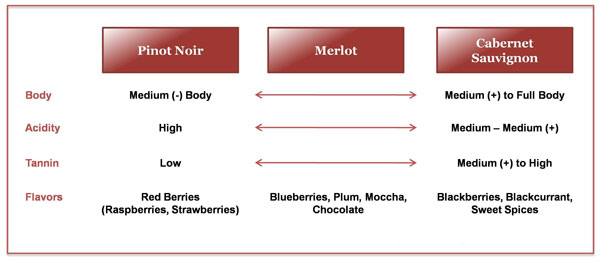 Mọi điều bạn cần biết về giống nho Merlot Sự khác biệt giữa Merlot với Cabernet Sauvignon và Pinot Noir