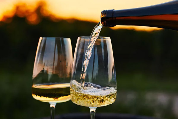 Tìm hiểu về giống nho Chardonnay Rượu vang Chardonnay