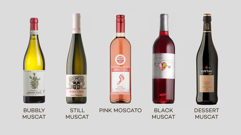 Các loại rượu Moscato