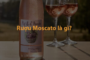 Rượu Moscato là gì? Tìm hiểu về rượu vang Moscato