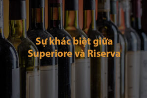 Sự khác biệt giữa Superiore và Riserva